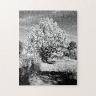 Black & White Trees Jigsaw Puzzle