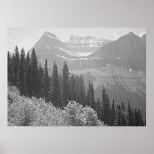 Black & White Trees & Mountains Poster
