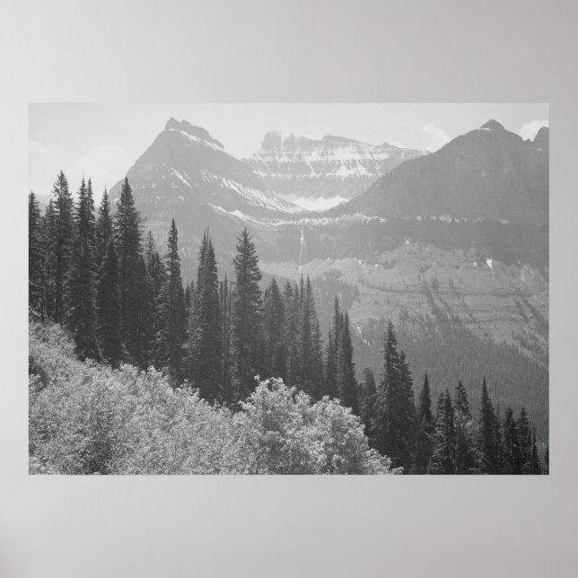 Black & White Trees & Mountains Poster (Front)