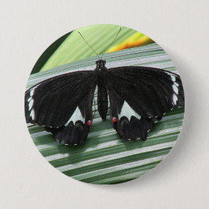 Black & White Tropical Butterfly  7.5 Cm Round Badge