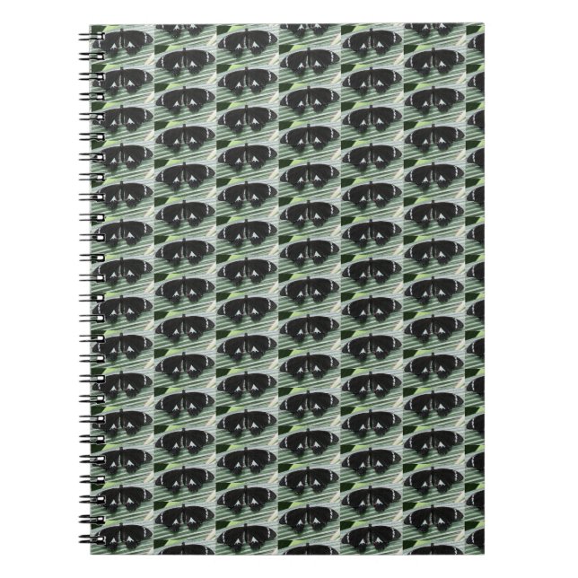 Black & White Tropical Butterfly Spiral Notebook (Front)