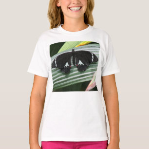 Black & White Tropical Butterfly T-Shirt