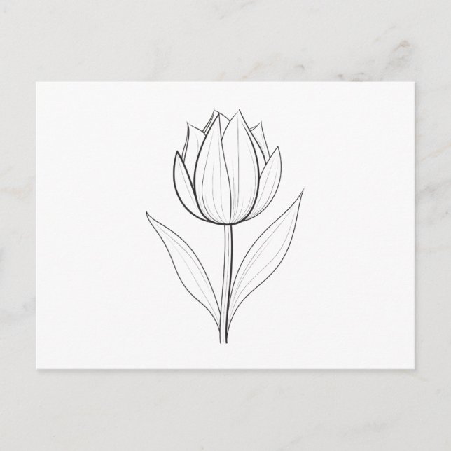 Black White Tulip Line Art Postcard (Front)