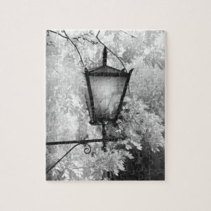 Black & White view of light fixture Jigsaw Puzzle