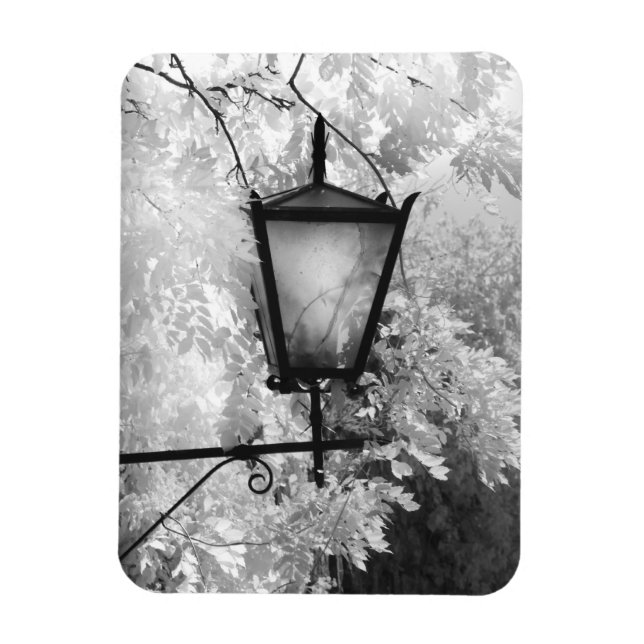 Black & White view of light fixture Magnet (Vertical)