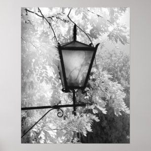Black & White view of light fixture Poster
