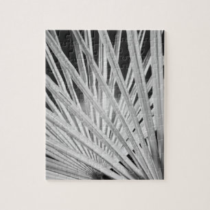 Black & White view of palm tree fronds Jigsaw Puzzle