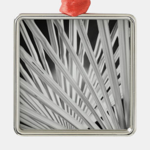 Black & White view of palm tree fronds Metal Tree Decoration