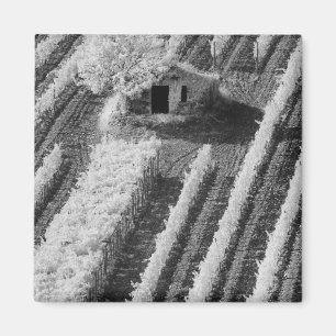 Black & White view of small stone barn Magnet
