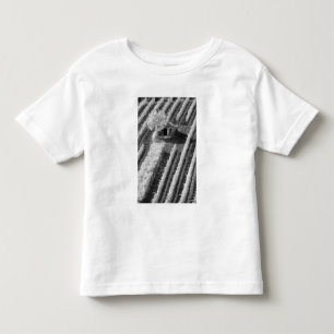 Black & White view of small stone barn Toddler T-Shirt