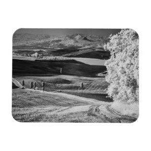 Black & White view of winding road Magnet