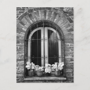 Black & White view of window and flower pots Postcard