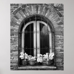 Black & White view of window and flower pots Poster
