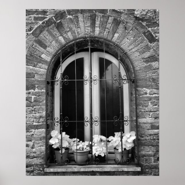 Black & White view of window and flower pots Poster (Front)