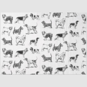 Black & White Vintage Dogs Pattern Tissue Paper