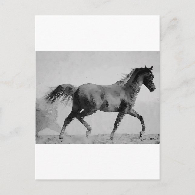 Black & White Walking Horse Postcard (Front)