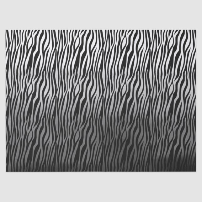 Black White Watercolor Ombre Zebra Print Tissue Paper (Front)