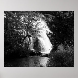Black & White Waterfall Through the Trees 16x20 Poster