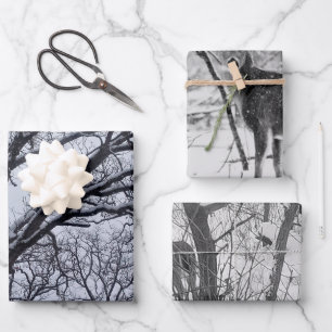 Black White Winter Nature Wildlife Deer Wrapping Paper Sheet