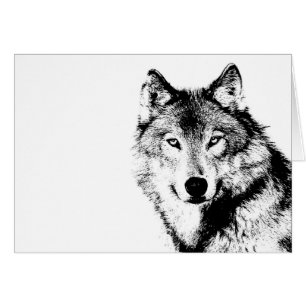 Black & White Wolf