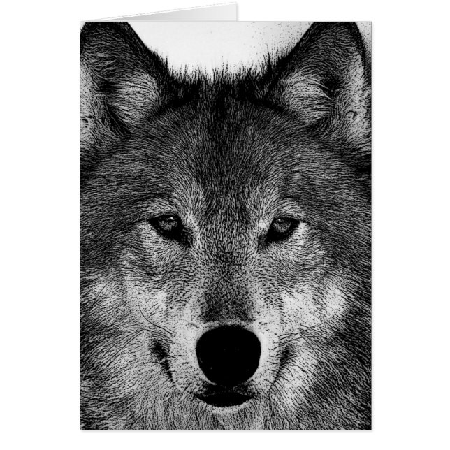 Black & White Wolf Artwork (Front)