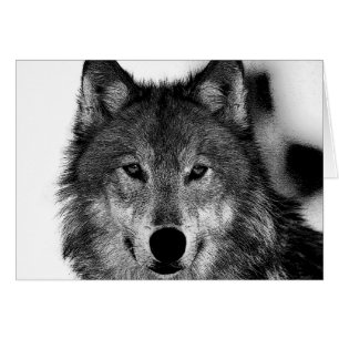 Black & White Wolf Artwork