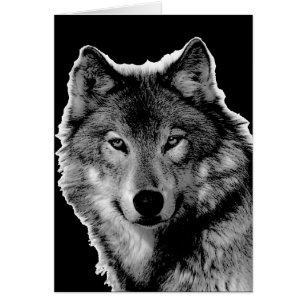 Black & White Wolf Artwork