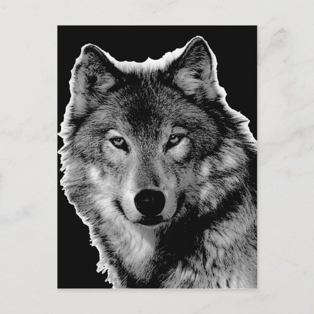 Black & White Wolf Artwork Postcard (Front)