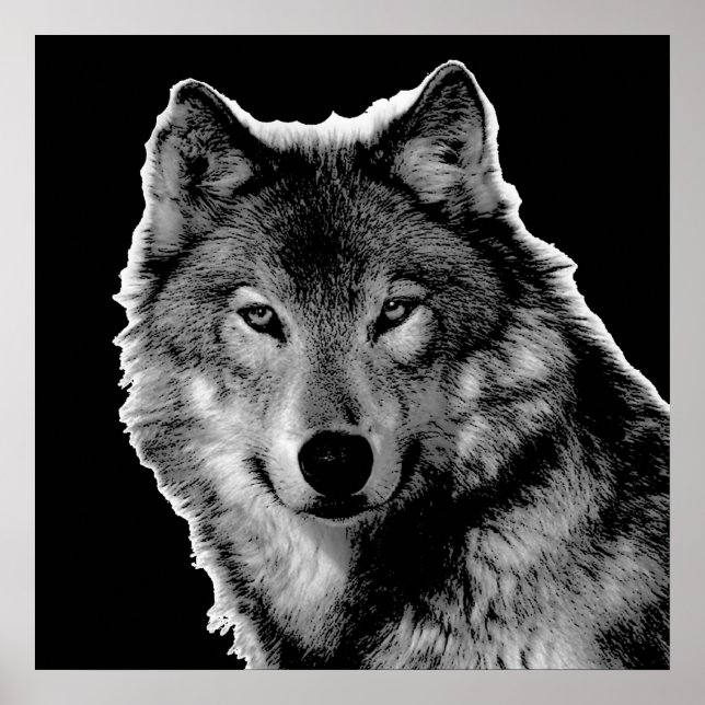 Black & White Wolf Artwork Poster (Front)