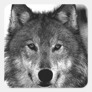 Black & White Wolf Artwork Square Sticker
