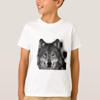 Black & White Wolf Artwork