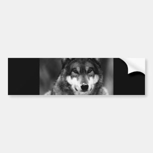 Black & White Wolf Bumper Sticker