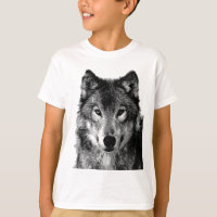 Black & White Wolf Portrait