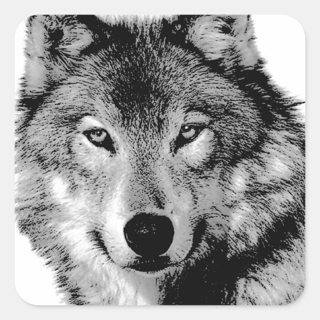 Black & White Wolf Square Sticker (Front)