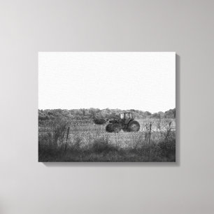 Black & White Working in the Cornfield 16x20 Canvas Print