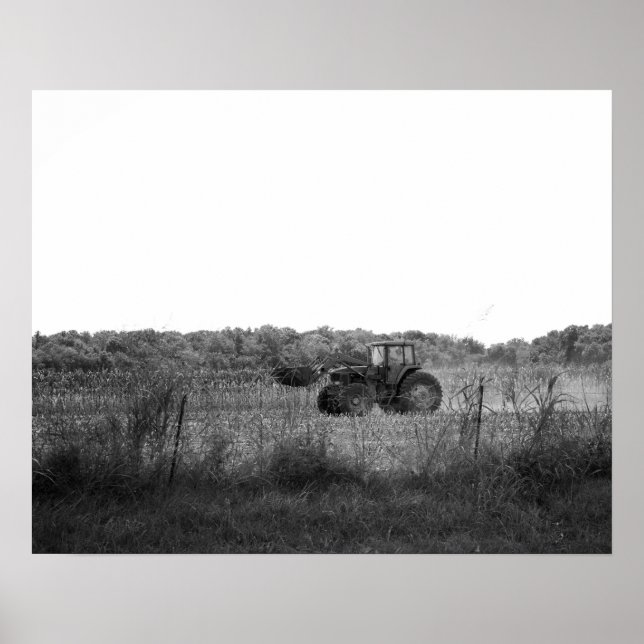 Black & White Working in the Cornfield 16x20 Poster (Front)