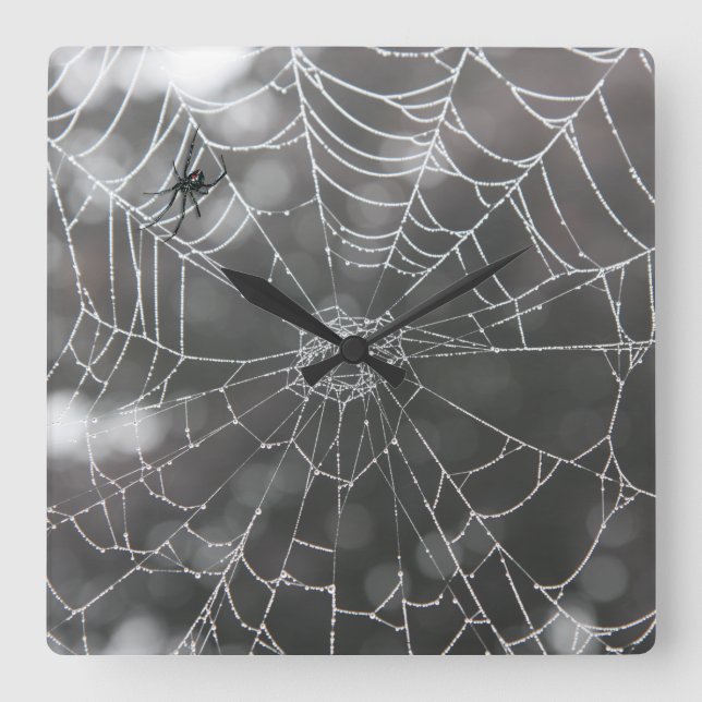 Black Widow in Spider Web | Halloween Square Wall Clock (Front)