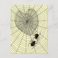 Black Widow