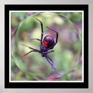 Black Widow Print