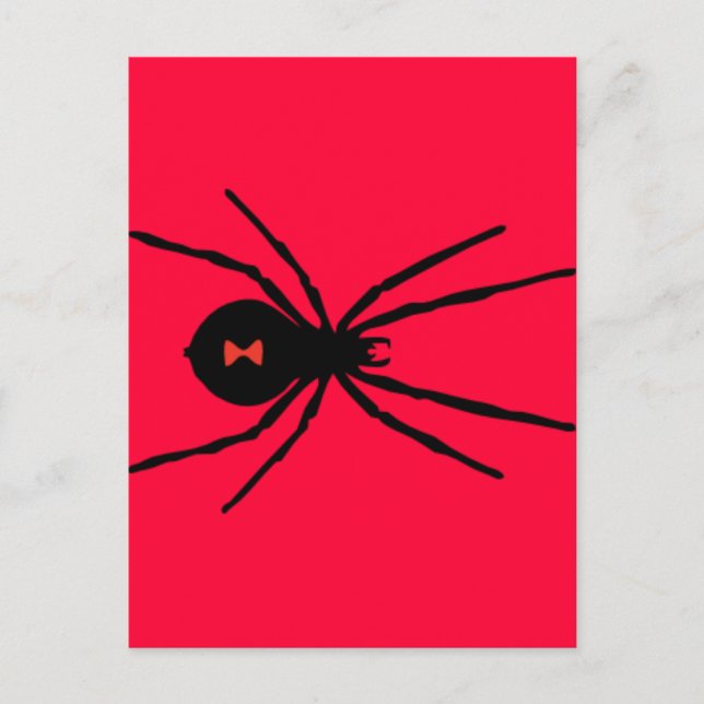 Black Widow Spider Postcard (Front)