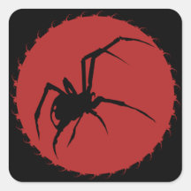Black Widow Spider