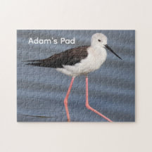 Black Winged Stilt Bird Photo Personalised Jigsaw