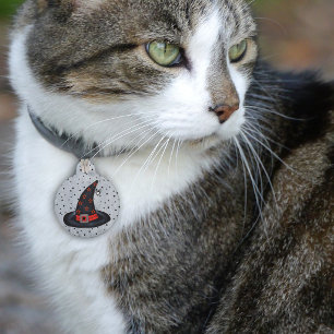 Black Witch Hat Stars Cute Spider Halloween Pet Tag