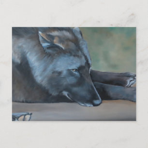 Black Wolf Art Postcard