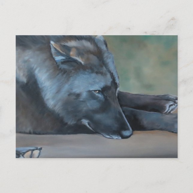 Black Wolf Art Postcard (Front)