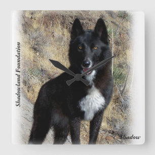 Black Wolf Clock