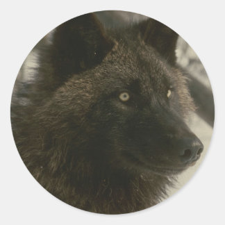 Black Wolf Dog Classic Round Sticker