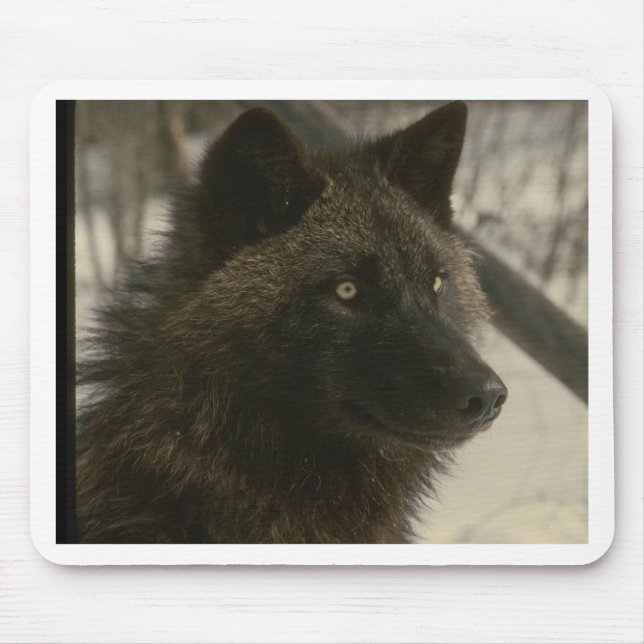 Black Wolf Mouse Mat (Front)