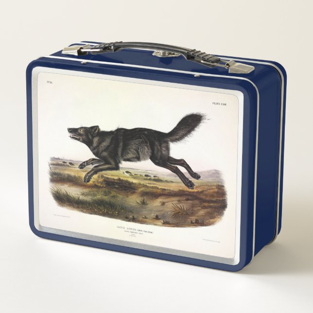 Black Wolf, or Black American Wolf (Canis Lupus) Metal Lunch Box (Back)