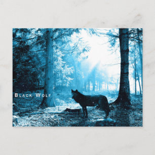 Black Wolf Woods Forest Night Fantasy Postcard